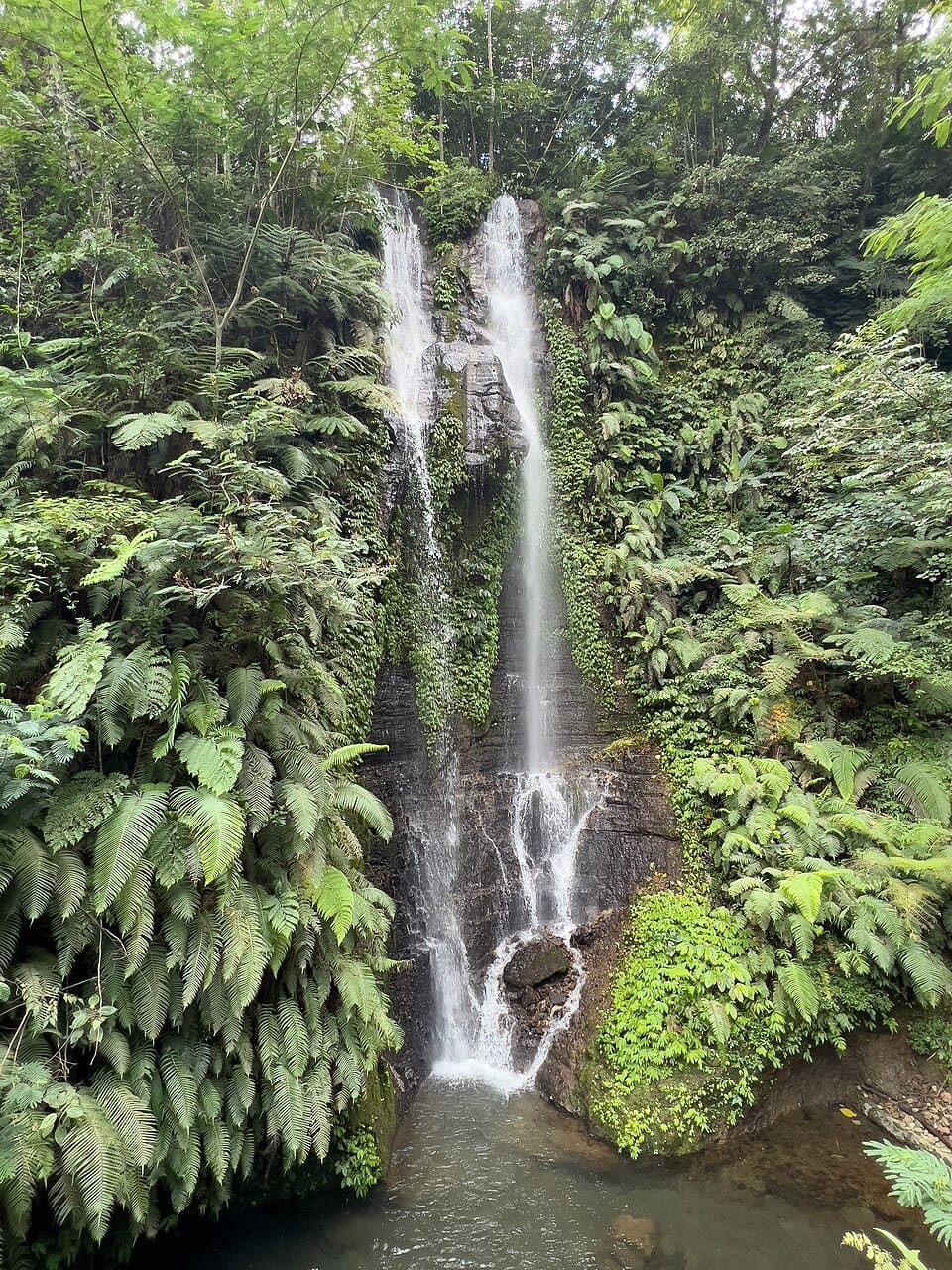 Munduk