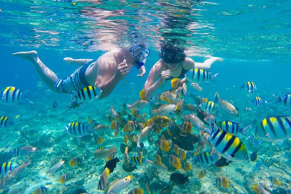Gili snorkeling trip