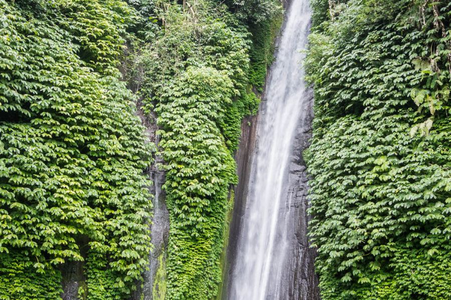 Red Coral Waterfall (Munduk)