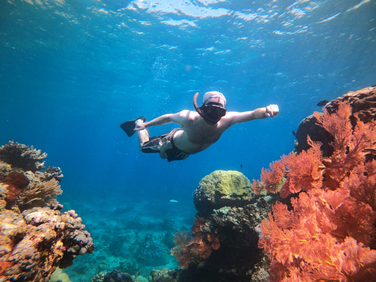  Snorkeling  Trip in Amed  Bali Reply