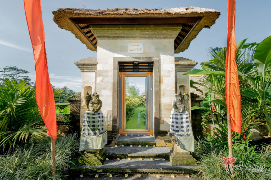 Villa Rumah Lotus